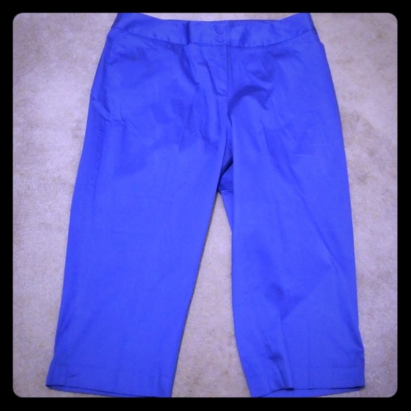 Lane Bryant Pants - *New* Cropped pants